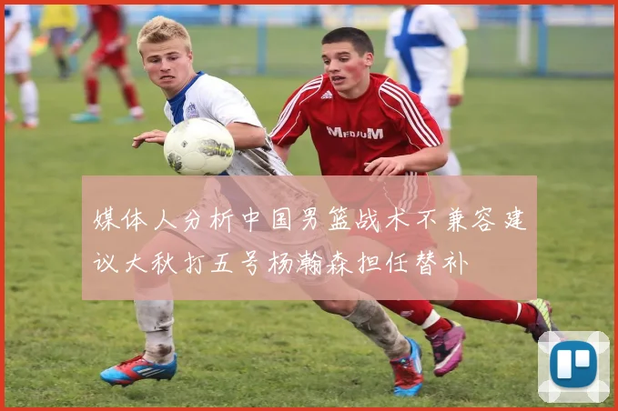 媒体人分析中国男篮战术不兼容建议大秋打五号杨瀚森担任替补