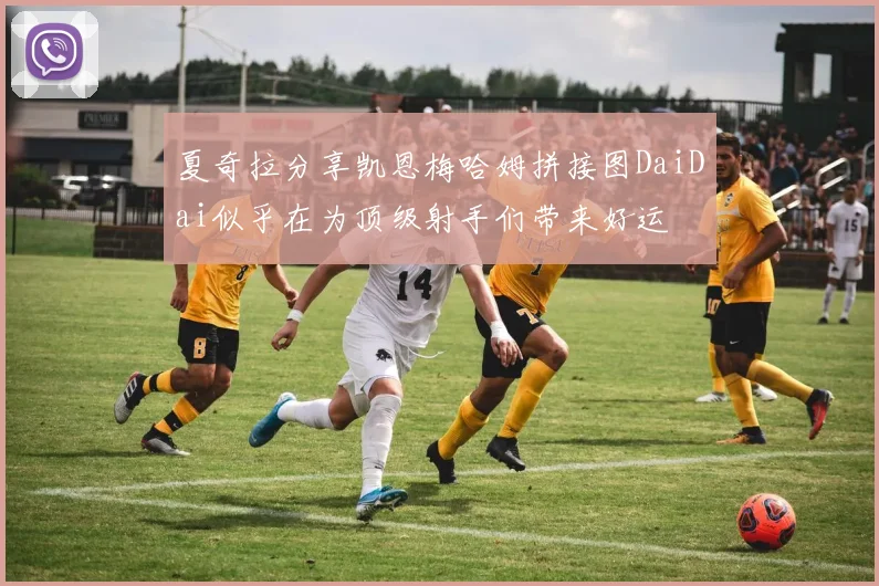 夏奇拉分享凯恩梅哈姆拼接图DaiDai似乎在为顶级射手们带来好运